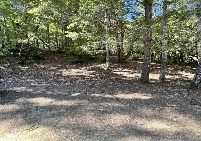 Photo 3 of Land for sale at 24858 Clover Rd, Willits, CA 95490 | MLS# ML82008335 | Listing updated on 2026-09-22