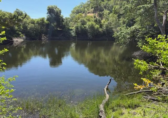 3rd image of 14056 Uvas Rd, Morgan Hill, CA 95037 | MLS# ML82008444
