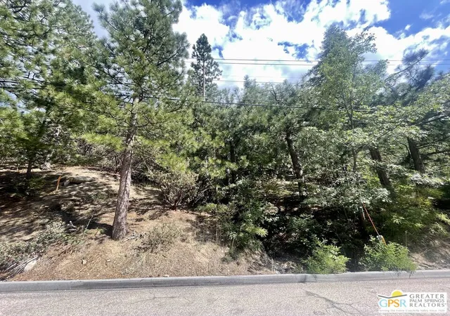 1st image of 6011 Mountain Home Creek Rd, Angelus Oaks, CA 92305 | MLS# 25544849PS