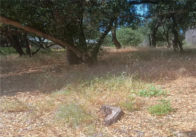 Homes for sale in Clearlake, CA | 3519 Covelo St, Clearlake, CA 95422 | MLS# LC25126603