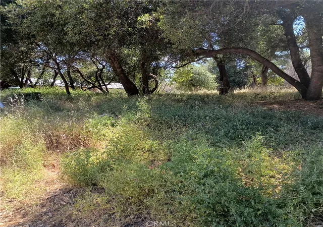 Homes for sale in Clearlake, CA | 3519 Covelo St, Clearlake, CA 95422 | MLS# LC25126603