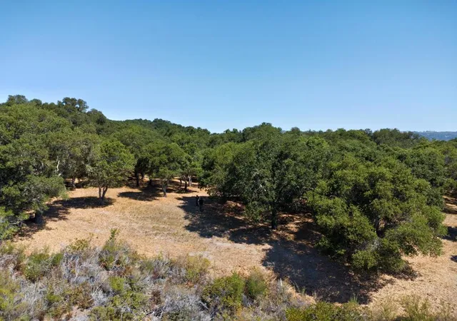Homes for sale in Carmel, CA | 4 Holding Field Run, Carmel, CA 93923 | MLS# ML82010106