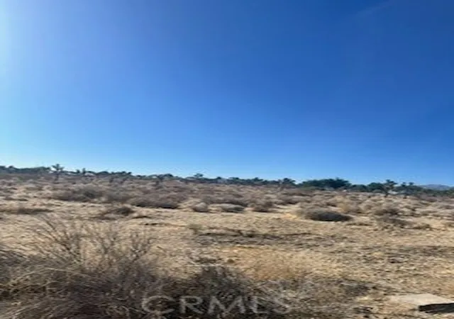 1st image of 0 Pine Tree Rd, Pinon Hills, CA 92372 | MLS# HD25127927