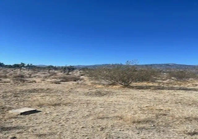 2nd image of 0 Pine Tree Rd, Pinon Hills, CA 92372 | MLS# HD25127927