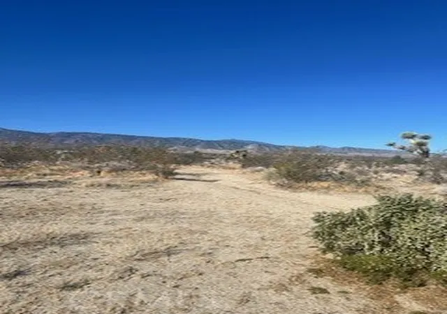 3rd image of 0 Pine Tree Rd, Pinon Hills, CA 92372 | MLS# HD25127927