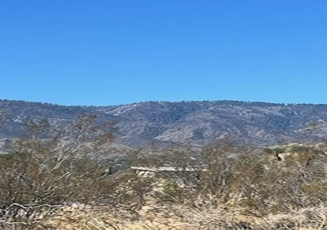 4th image of 0 Pine Tree Rd, Pinon Hills, CA 92372 | MLS# HD25127927