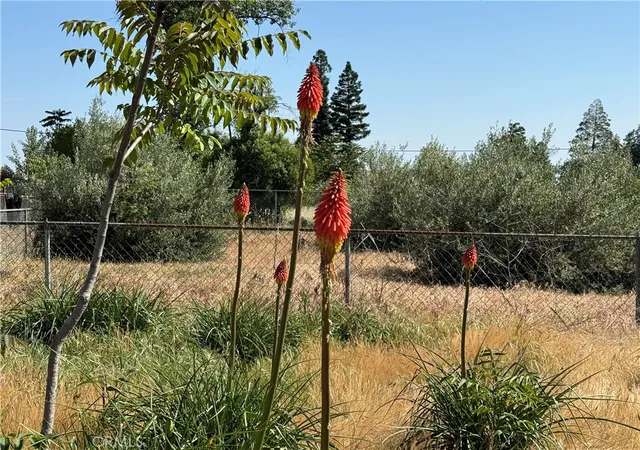 Photo 4 of Sale Pending at 1438 Toni Dr, Paradise, CA 95969 | MLS# SN25122776 | Listing updated on 2026-09-30