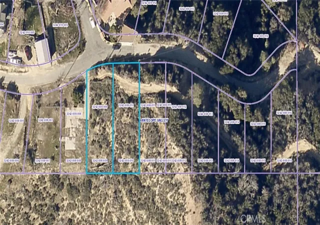 Photo 2 of Land for sale at 0 Newview Dr, Lake Hughes, CA 93532 | MLS# SR25131535 | Listing updated on 2026-07-03