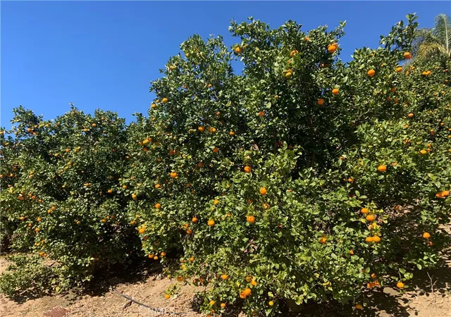 5th image of 45860 Calle Cuero, Temecula, CA 92590 | MLS# OC25131782