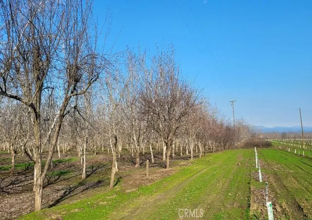 Land for sale at 0 River Road, Chico, CA 95973 | MLS# SN25133071