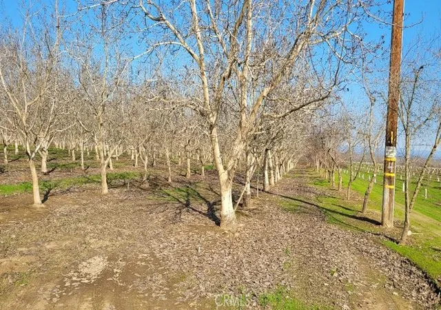 Photo 2 of Land for sale at 0 River Road, Chico, CA 95973 | MLS# SN25133071 | Listing updated on 2026-09-16