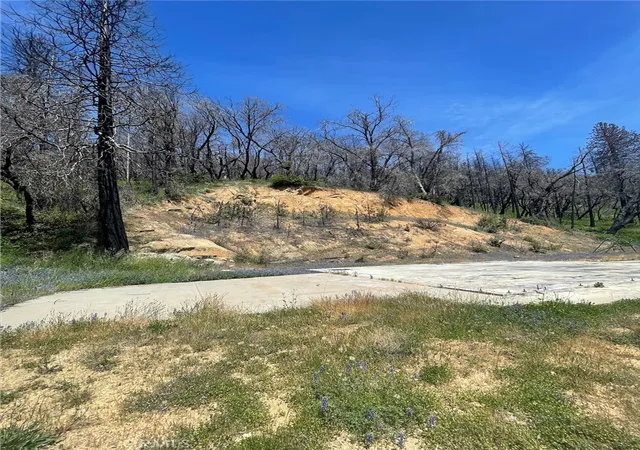 Homes for sale in Berry Creek, CA | 180 Mirage Lake Rd, Berry Creek, CA 95916 | MLS# OR25128643