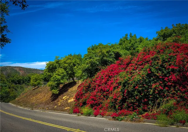 4th image of 5 Via Vaquero, Temecula, CA 92590 | MLS# OC25136363