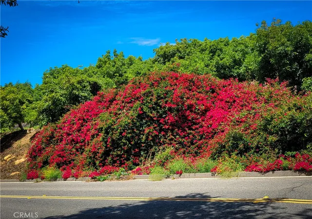 5th image of 5 Via Vaquero, Temecula, CA 92590 | MLS# OC25136363