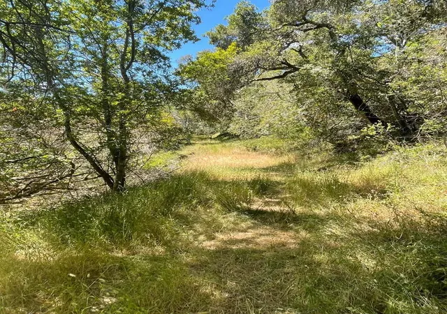 1st image of 0 Crystal Springs Rd, Hillsborough, CA 94010 | MLS# ML82012016