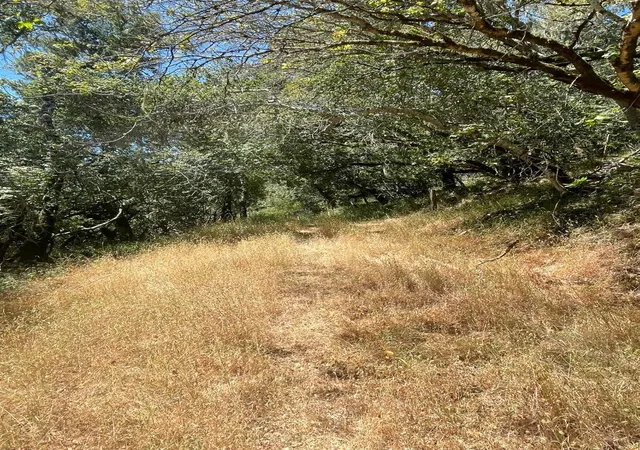 2nd image of 0 Crystal Springs Rd, Hillsborough, CA 94010 | MLS# ML82012016