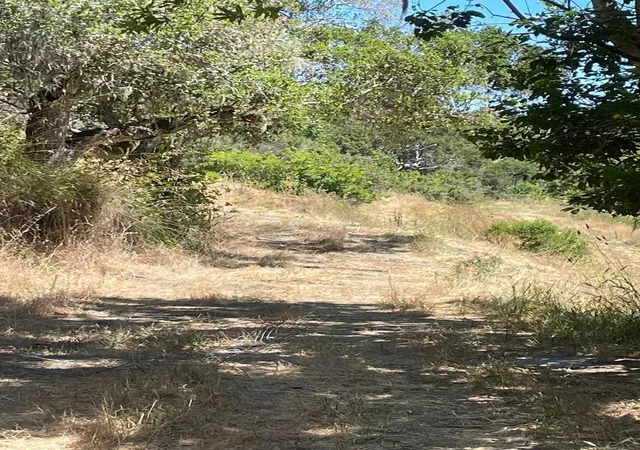 3rd image of 0 Crystal Springs Rd, Hillsborough, CA 94010 | MLS# ML82012016