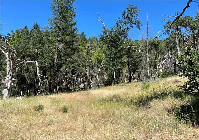 Homes for sale in Upper Lake, CA | 20925 Mid Mountain (17n17 Usfs) Rd, Upper Lake, CA 95469 | MLS# LC25140861