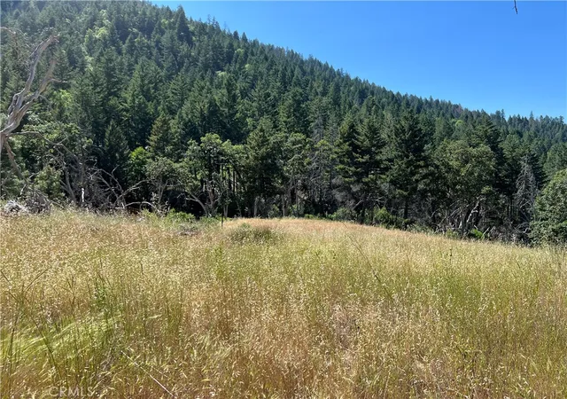 Homes for sale in Upper Lake, CA | 20925 Mid Mountain (17n17 Usfs) Rd, Upper Lake, CA 95469 | MLS# LC25140861