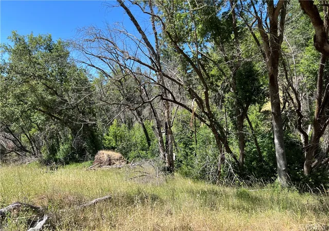Homes for sale in Upper Lake, CA | 20925 Mid Mountain (17N17 Usfs) Rd, Upper Lake, CA 95469 | MLS# LC25140861