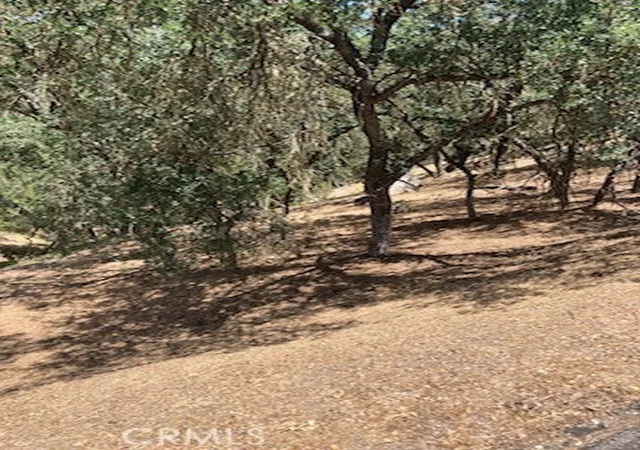 Homes for sale in Bradley, CA | 2668 Pine Ridge Rd, Bradley, CA 93426 | MLS# NS25141437