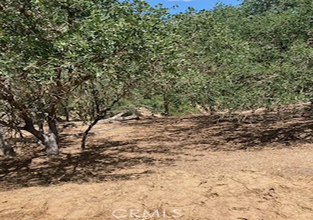 Homes for sale in Bradley, CA | 2668 Pine Ridge Rd, Bradley, CA 93426 | MLS# NS25141437