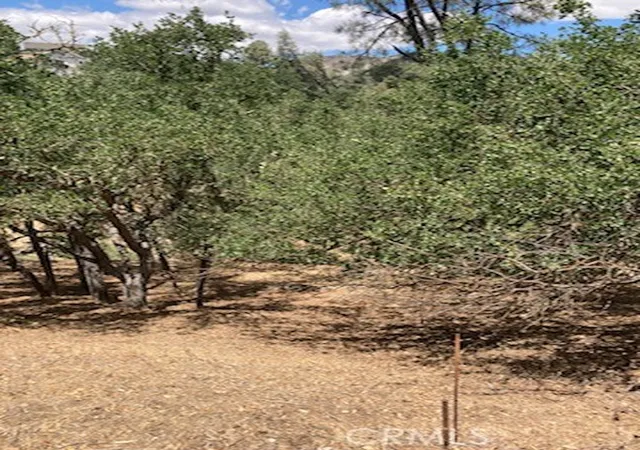 Homes for sale in Bradley, CA | 2668 Pine Ridge Rd, Bradley, CA 93426 | MLS# NS25141437