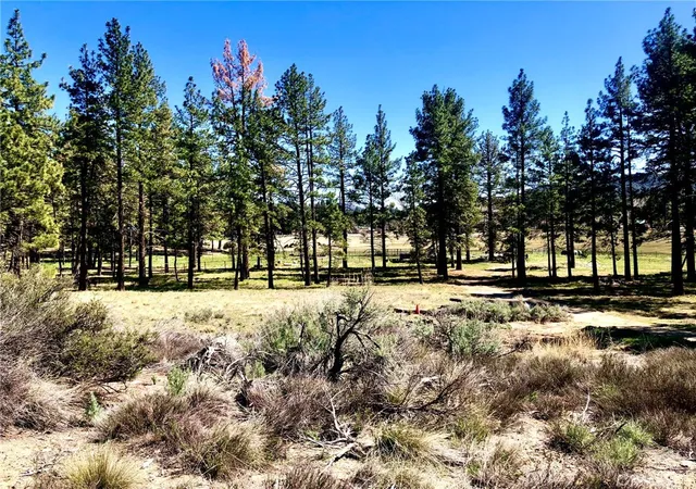 Photo 3 of Land for sale at 0 Butterfly Peak Rd, Mountain Center, CA 92561 | MLS# SW25142741 | Listing updated on 2026-07-17
