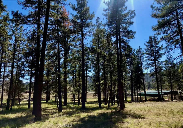Photo 4 of Land for sale at 0 Butterfly Peak Rd, Mountain Center, CA 92561 | MLS# SW25142741 | Listing updated on 2026-07-17