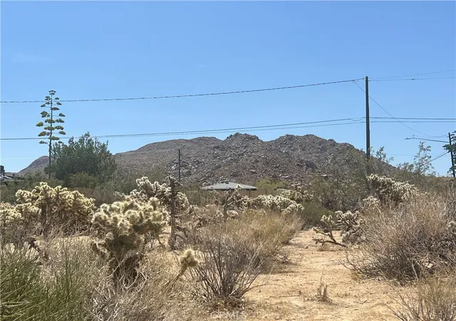 1st image of 61891 El Reposo Cir, Joshua Tree, CA 92252 | MLS# JT25138693
