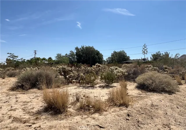 Photo 4 of Land for sale at 61891 El Reposo Cir, Joshua Tree, CA 92252 | MLS# JT25138693 | Listing updated on 2026-05-28