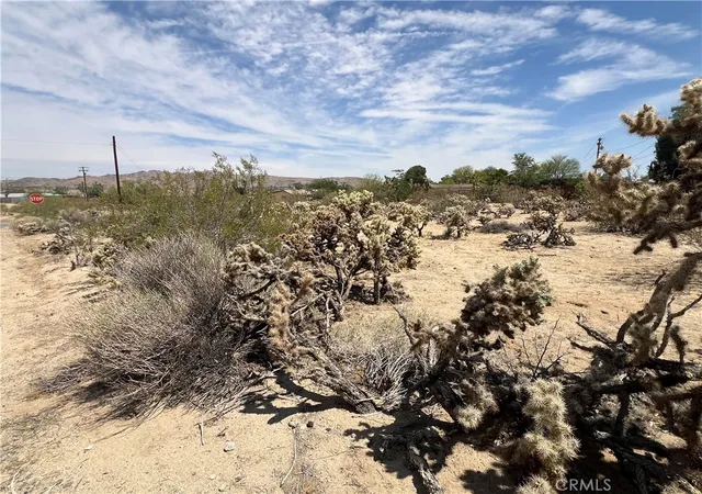 6th image of 61891 El Reposo Cir, Joshua Tree, CA 92252 | MLS# JT25138693