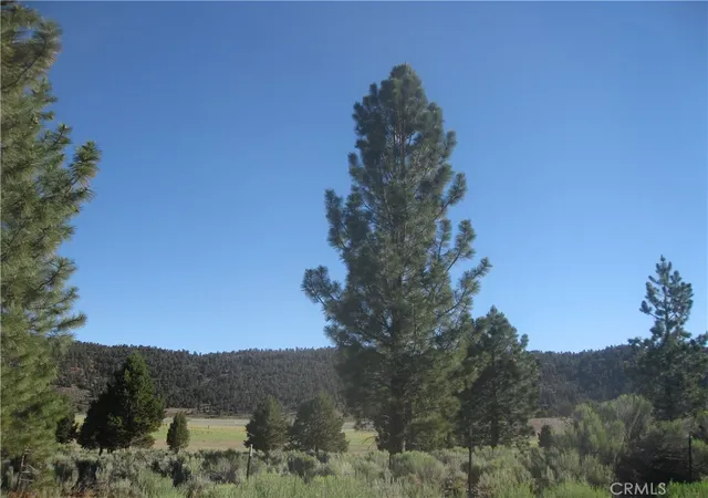 Photo 1 of Land for sale at 2805 Cedar Ln, Big Bear City, CA 92314 | MLS# IV25144078 | Listing updated on 2026-06-23