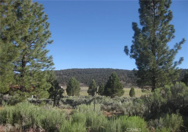Photo 2 of Land for sale at 2805 Cedar Ln, Big Bear City, CA 92314 | MLS# IV25144078 | Listing updated on 2026-06-23