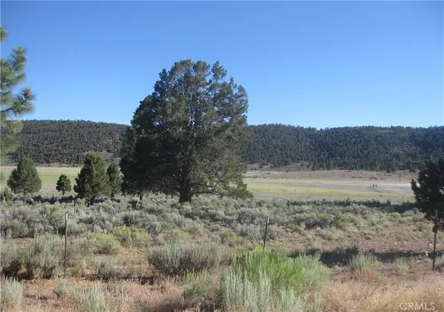2nd image of 2809 Cedar Ln, Big Bear City, CA 92314 | MLS# IV25144490