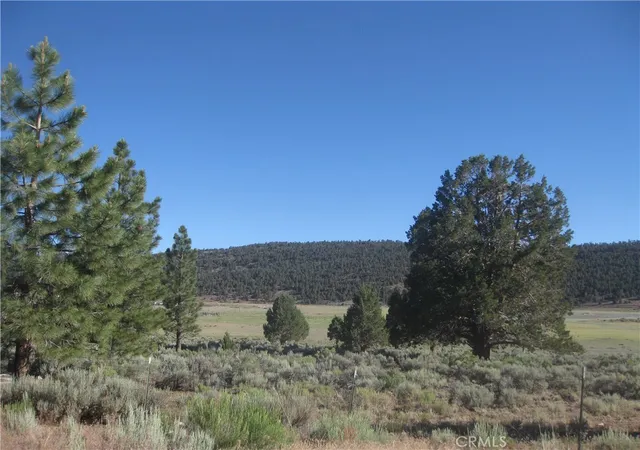 3rd image of 2809 Cedar Ln, Big Bear City, CA 92314 | MLS# IV25144490
