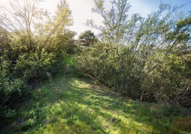 3rd image of 0 Mcnally Rd, Valley Center, CA 92082 | MLS# NDP2506437