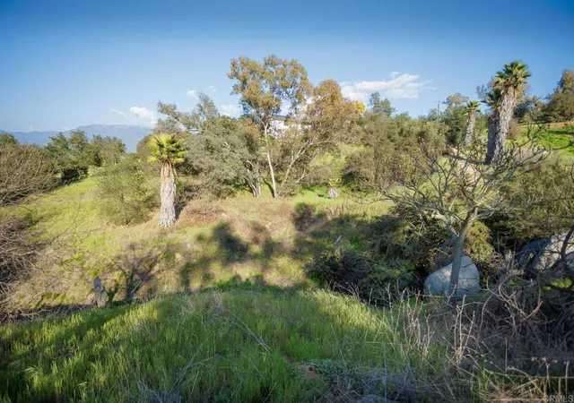 5th image of 0 Mcnally Rd, Valley Center, CA 92082 | MLS# NDP2506437