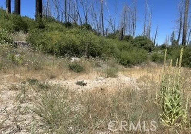 Homes for sale in Berry Creek, CA | 0 Oak Dr, Berry Creek, CA 95916 | MLS# OR25146159
