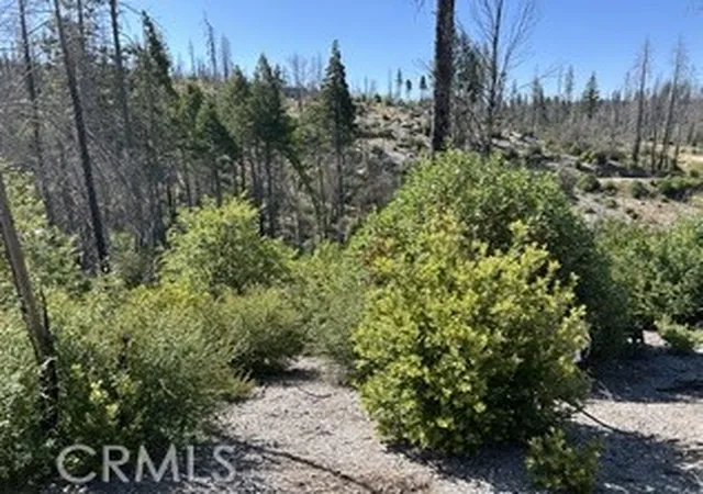Homes for sale in Berry Creek, CA | 0 Oak Dr, Berry Creek, CA 95916 | MLS# OR25146159