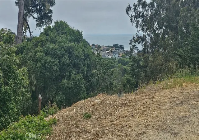 Photo 2 of Land for sale at 0 Croyden Ln, Cambria, CA 93428 | MLS# SC25146430 | Listing updated on 2026-07-02