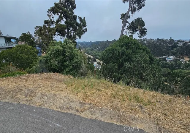 Photo 3 of Land for sale at 0 Croyden Ln, Cambria, CA 93428 | MLS# SC25146430 | Listing updated on 2026-07-02