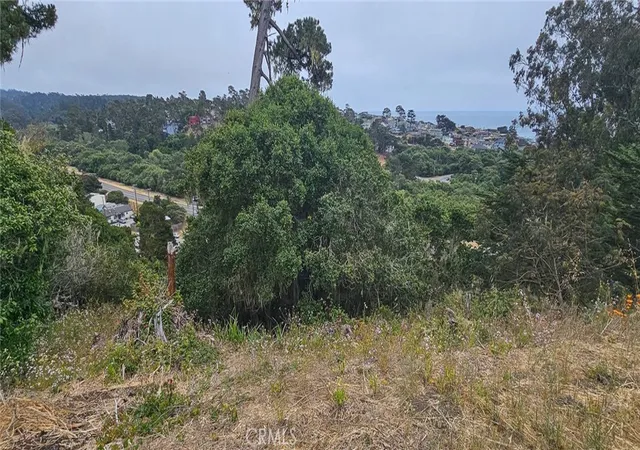 Photo 4 of Land for sale at 0 Croyden Ln, Cambria, CA 93428 | MLS# SC25146430 | Listing updated on 2026-07-02