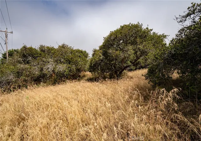 Homes for sale in Los Osos, CA | 0 Ash St, Los Osos, CA 93402 | MLS# SC25146002