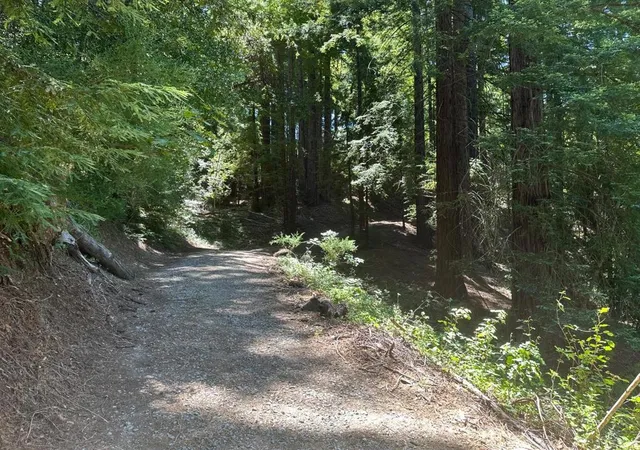 Homes for sale in Los Gatos, CA | 0 Main Blvd, Los Gatos, CA 95033 | MLS# ML82012930