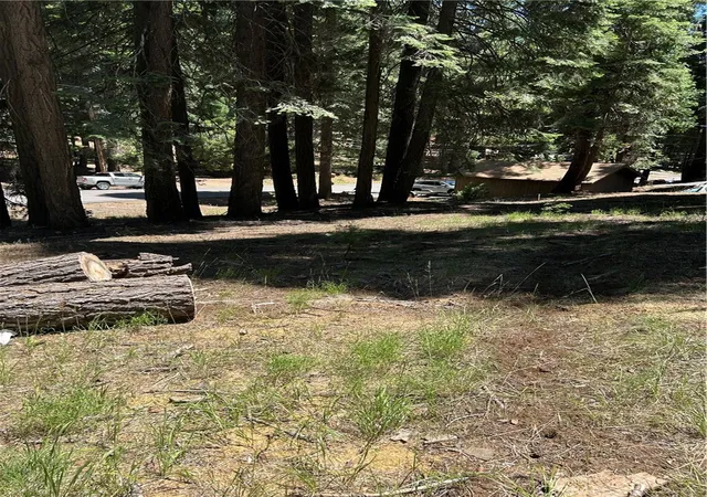 1st image of 631 Cedar Canyon Rd, Westwood, CA 96137 | MLS# SN25145417