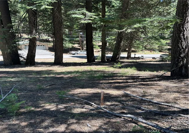 2nd image of 631 Cedar Canyon Rd, Westwood, CA 96137 | MLS# SN25145417