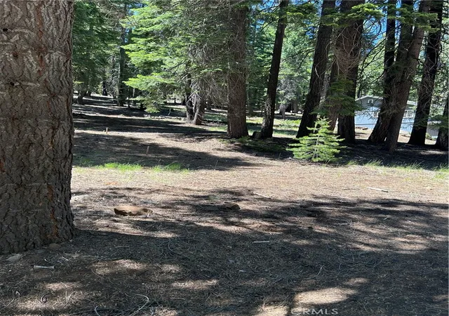 3rd image of 631 Cedar Canyon Rd, Westwood, CA 96137 | MLS# SN25145417