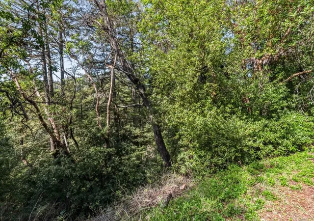 Homes for sale in Felton, CA | Lake Blvd And Lot 38 Lakeview, Felton, CA 95018 | MLS# ML82013207