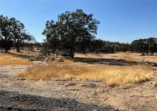 Photo 3 of Land for sale at 079 Ac Sunflower Ln, O'neals, CA 93645 | MLS# FR25149798 | Listing updated on 2026-06-29